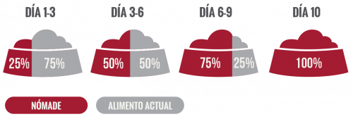 Nomade-Web-racion_adulto