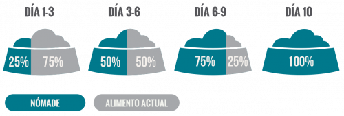 Nomade-Web-racion_cachorro