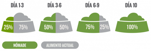 Nomade-Web-racion_razapeq