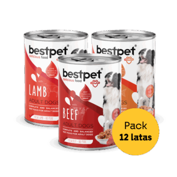 pack mix 12 latas