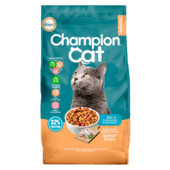 champion cat pollo