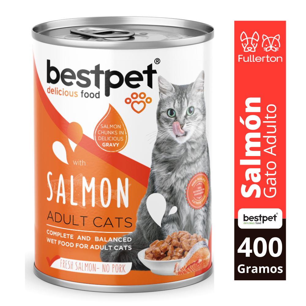 Lata bestpet gato salmon