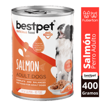 lata bestpet salmón perro