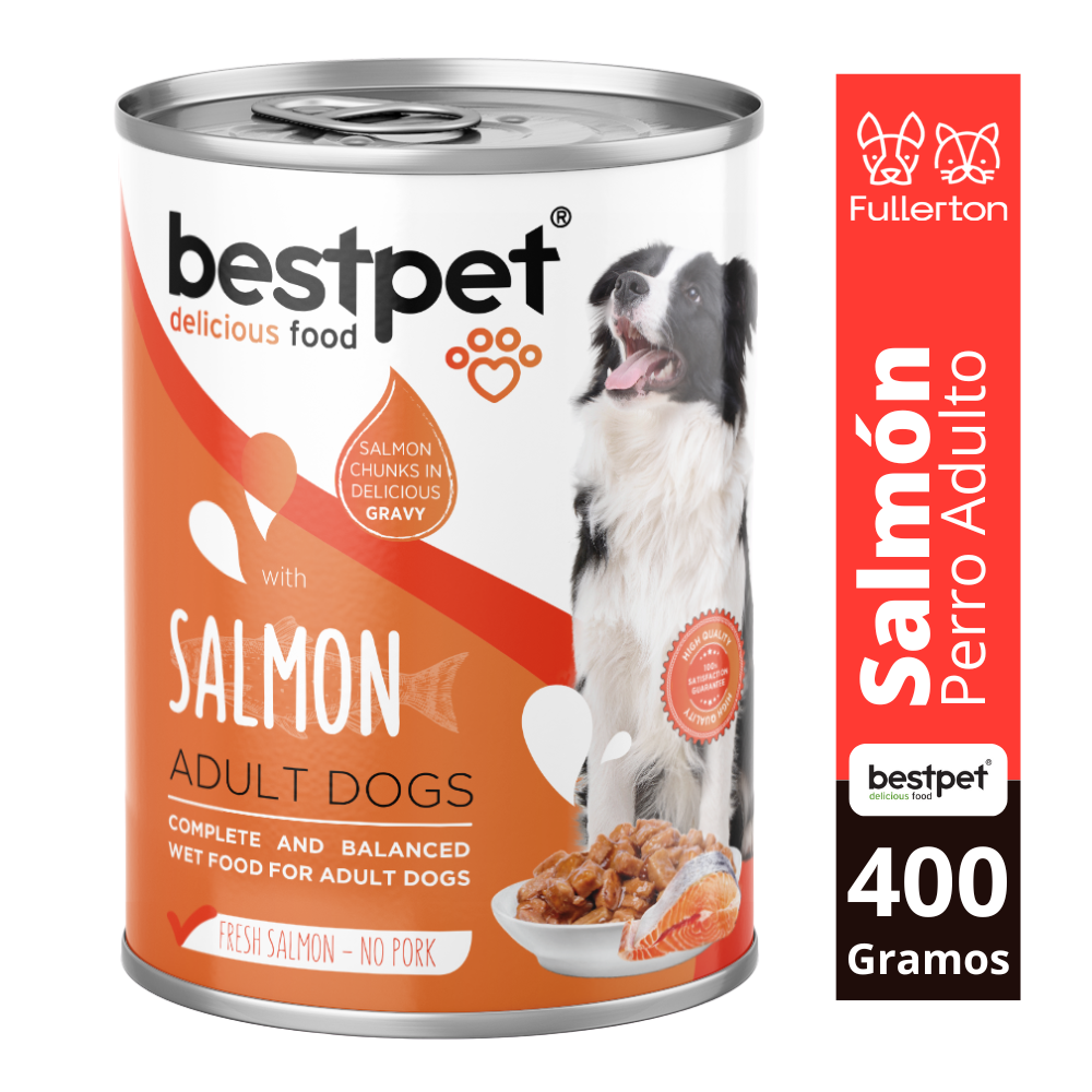 lata bestpet salmón perro
