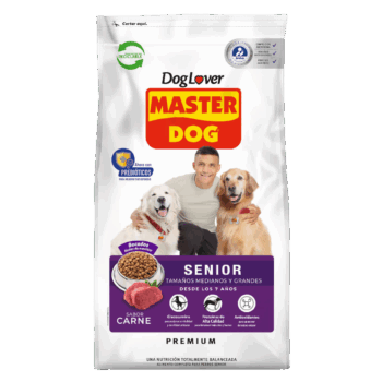 master dog senior