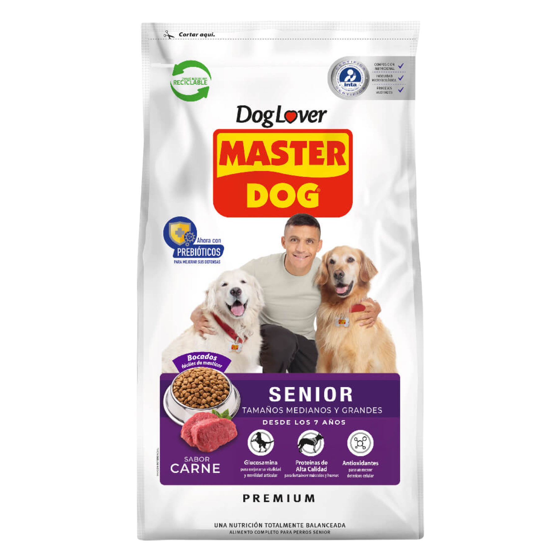master dog senior