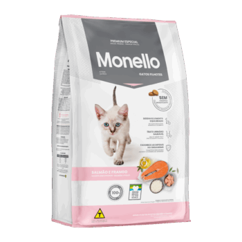 monello gatos cachorros