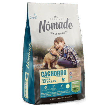 nomade perro cachorro