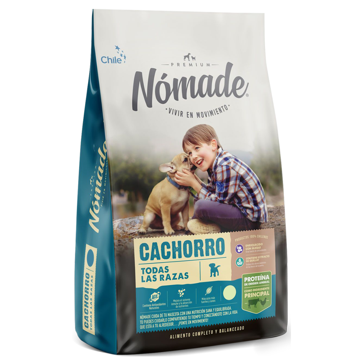 nomade perro cachorro